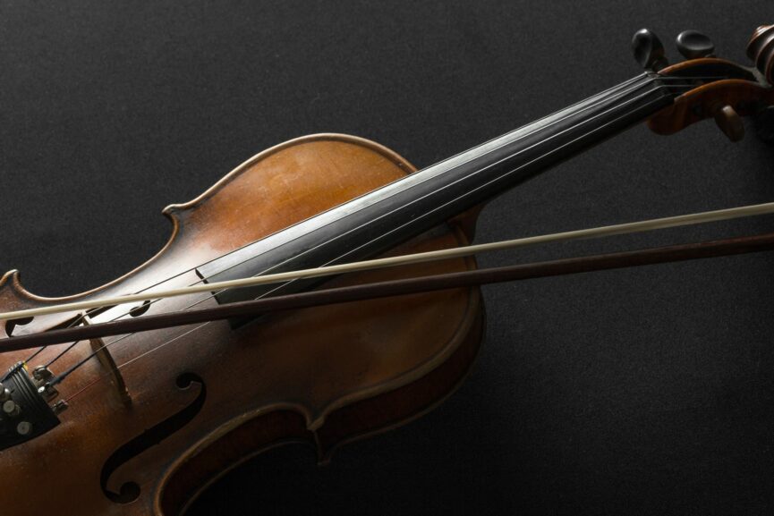 dettaglio violino