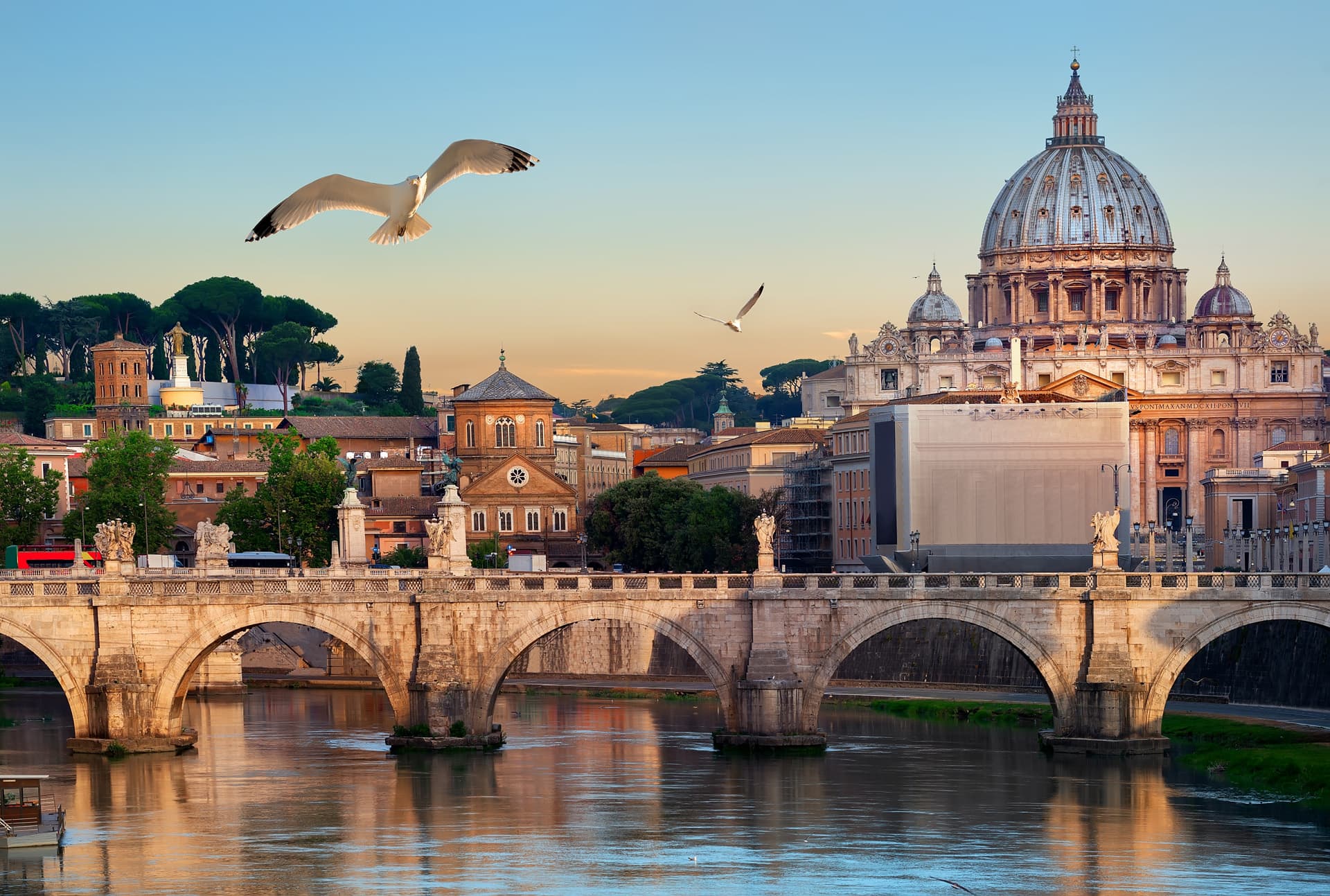 vista su roma e san pietro