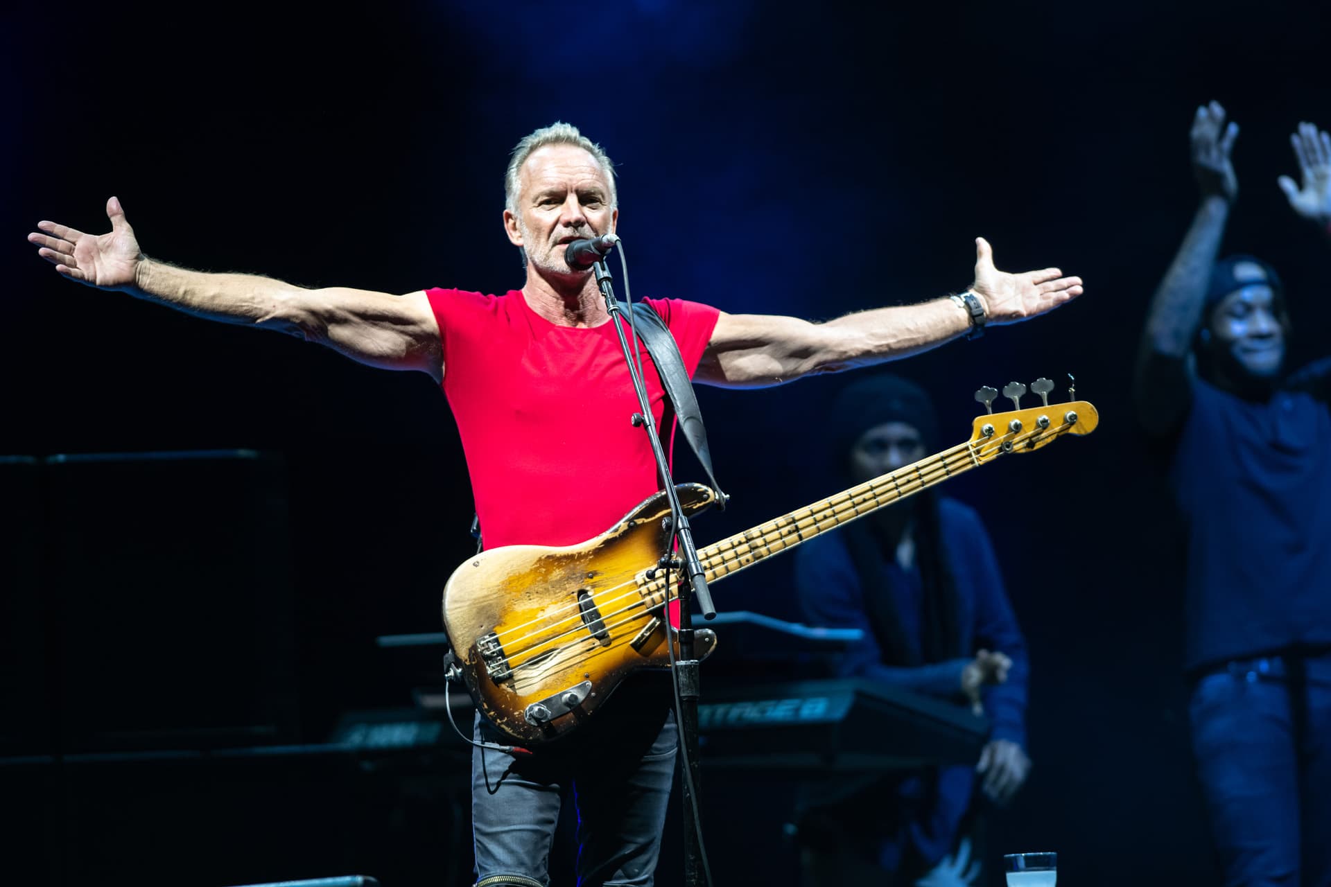 sting in concerto